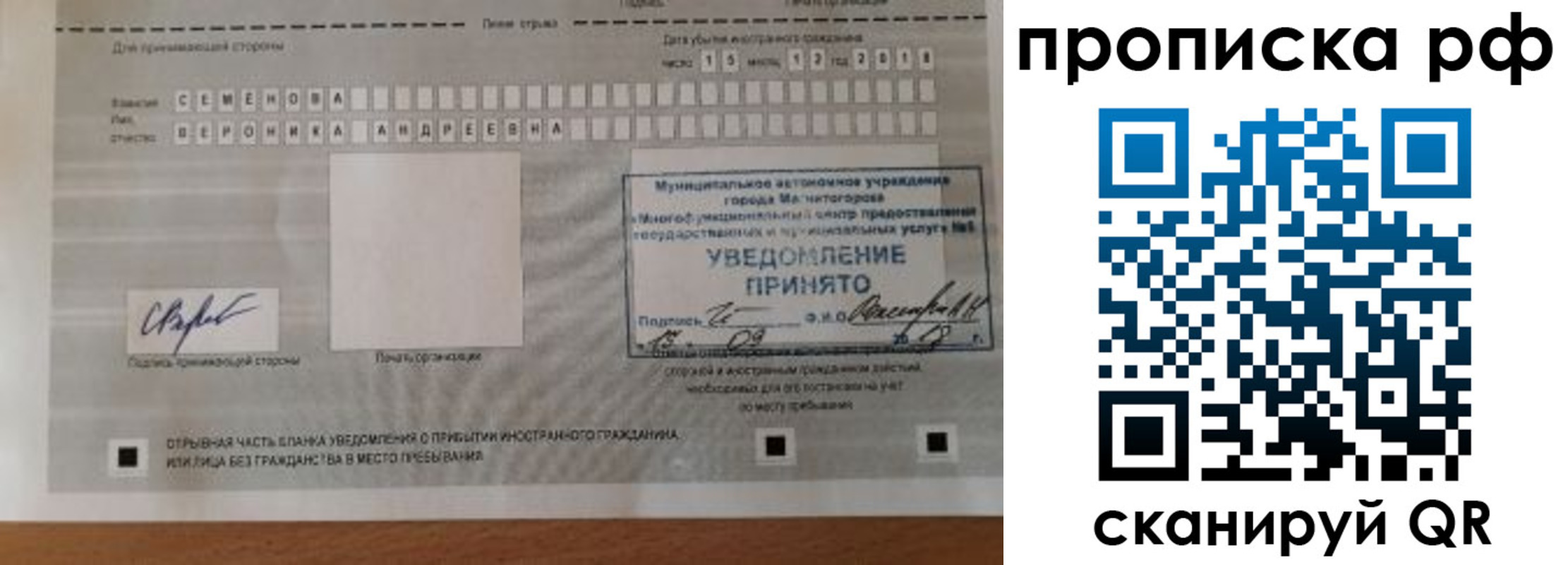 прописка паспорт в Светлом