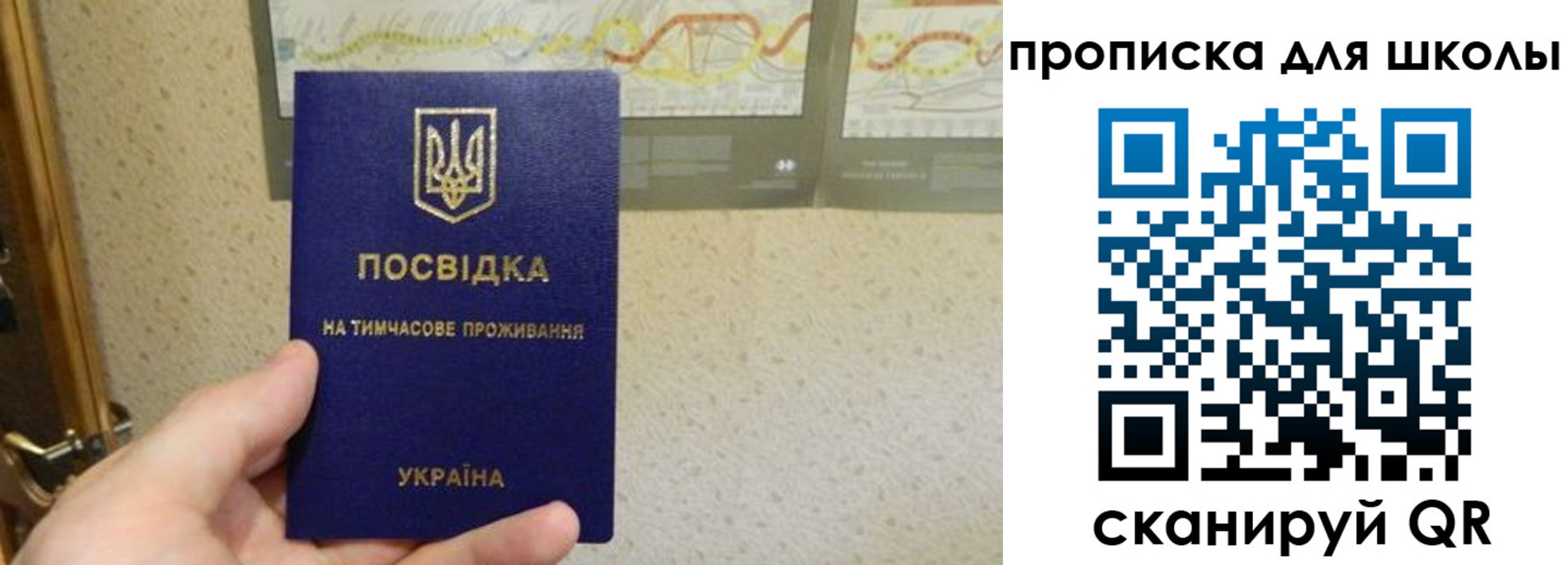 найти адрес прописки в Светлом